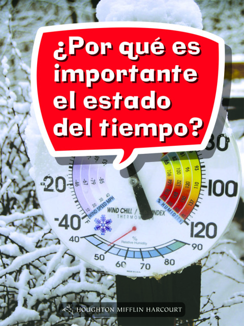 Cover image for book ¿Por qué es importante el estado del tiempo?