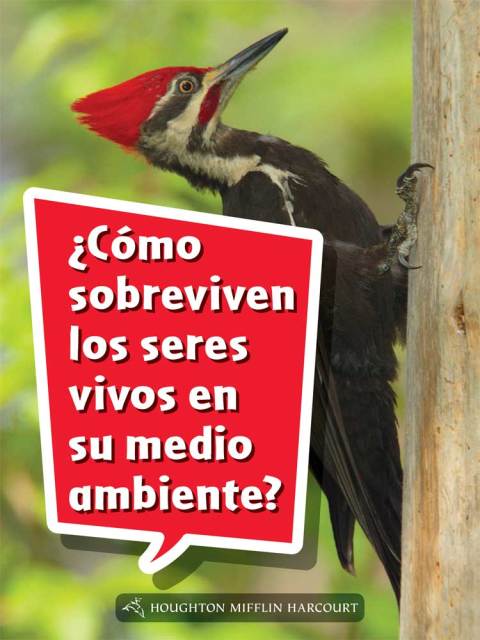 Cover image for book ¿Cómo sobreviven los seres vivos en su medio ambiente?
