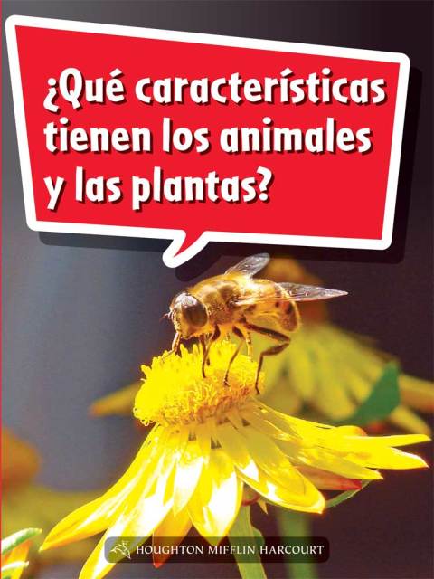Cover image for book ¿Qué características tienen los animales y las plantas?
