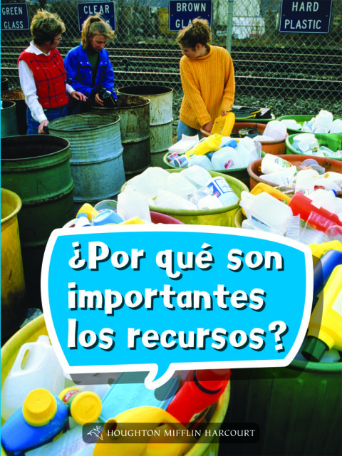 Cover image for book ¿Por qué son importantes los recursos?