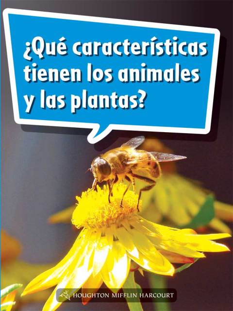 Cover image for book ¿Qué características tienen los animales y las plantas?