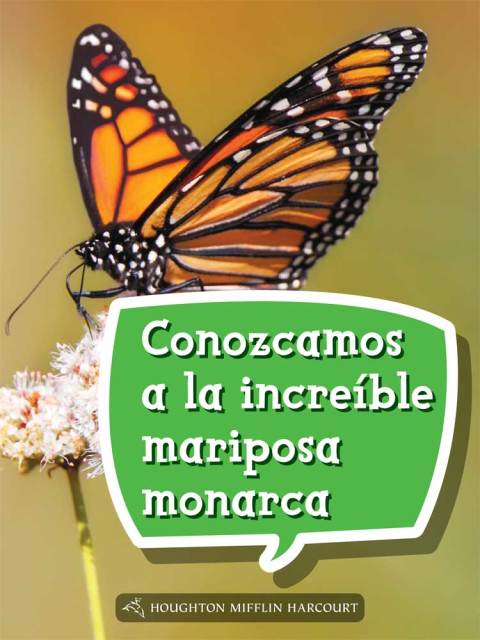 Cover image for book Conozcamos a la increíble mariposa monarca