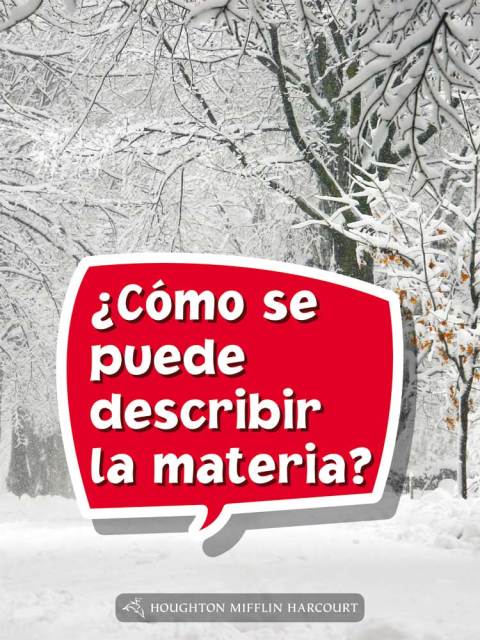 Cover image for book ¿Cómo se puede describir la materia?