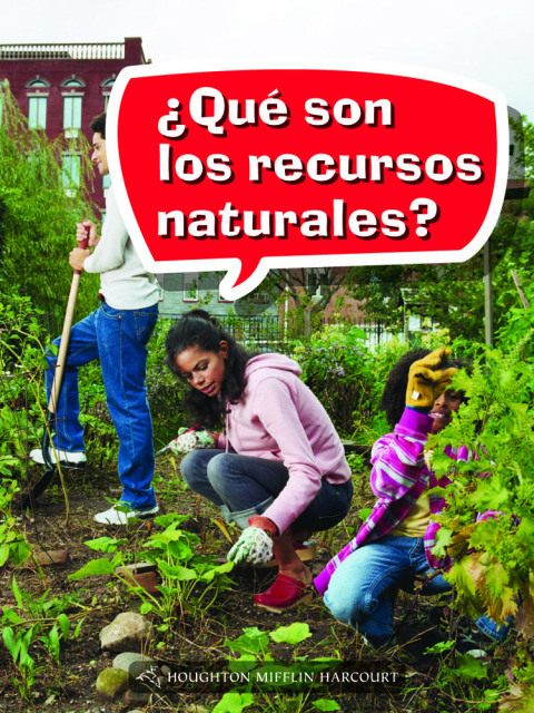 Cover image for book ¿Qué son los recursos naturales?