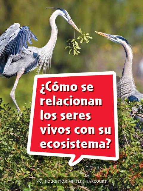 Cover image for book ¿Cómo se relacionan los seres vivos con su ecosistema?