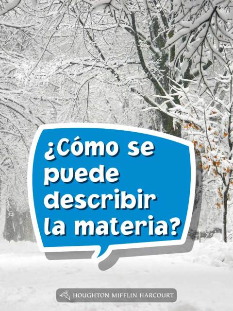 Cover image for book ¿Cómo se puede describir la materia?