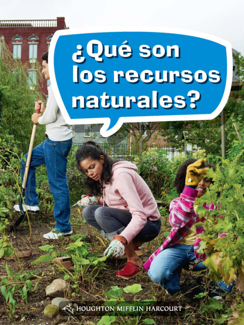 Cover image for book ¿Qué son los recursos naturales?