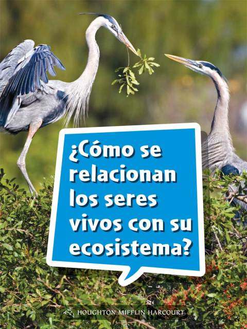 Cover image for book ¿Cómo se relacionan los seres vivos con su ecosistema?