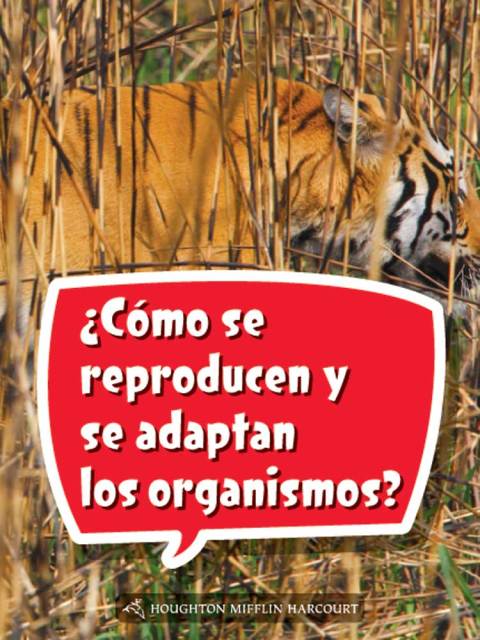 Cover image for book ¿Cómo se reproducen y se adaptan los organismos?