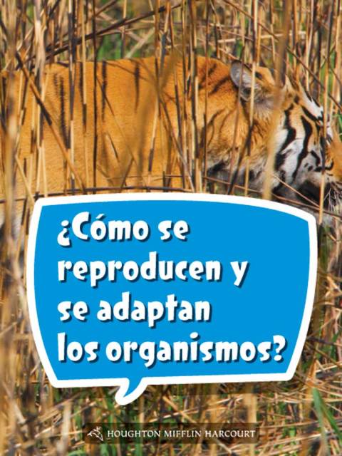 Cover image for book ¿Cómo se reproducen y se adaptan los organismos?
