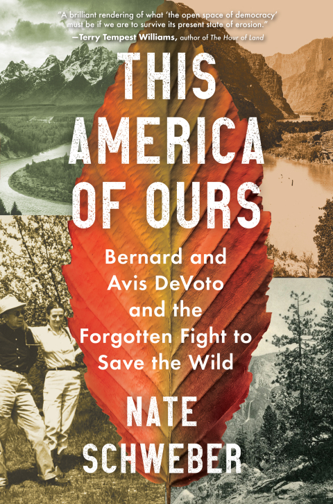 Cover image for book This America of Ours