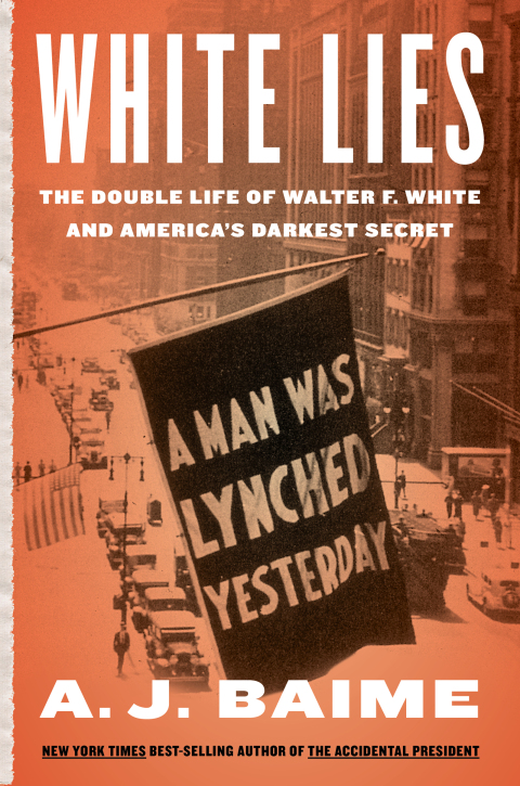 Cover image for book White Lies