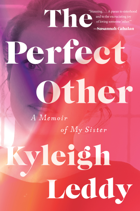 Cover image for book The Perfect Other