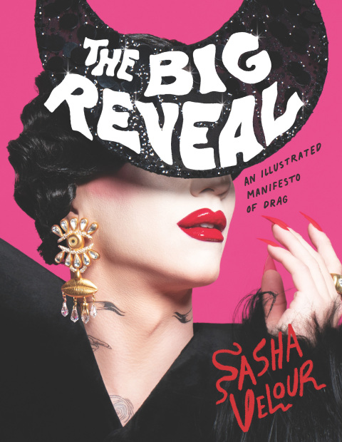 Cover image for book The Big Reveal