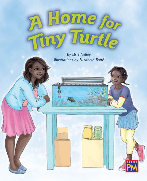 Cover image for book A Home for Tiny Turtle