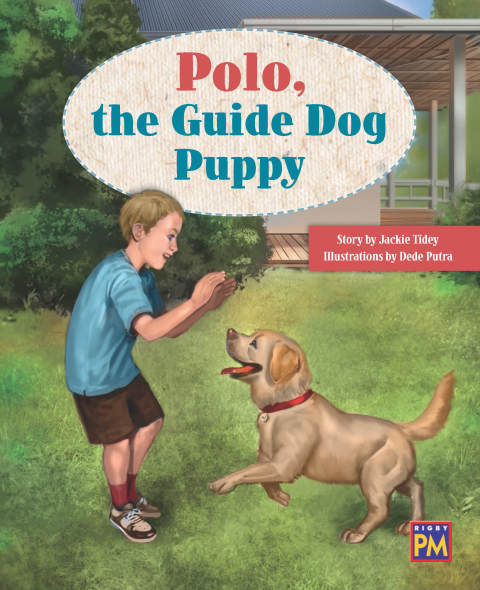 Cover image for book Polo the Guide Dog Puppy