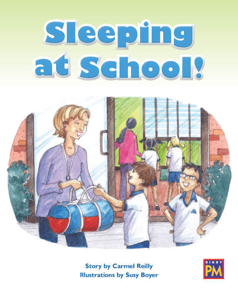 Cover image for book Sleeping at School!