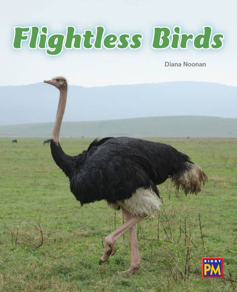 Cover image for book Flightless Birds