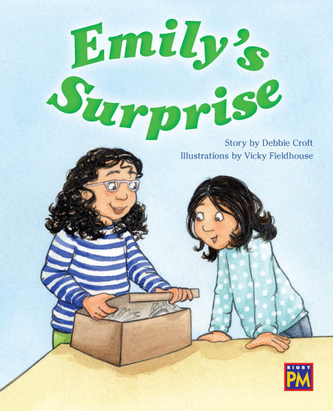 Cover image for book Emily's Surprise