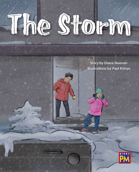 Cover image for book The Storm