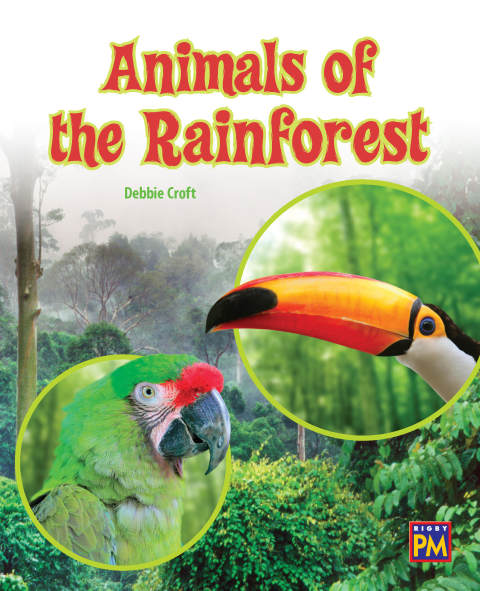 Cover image for book Animals of the Rainforest
