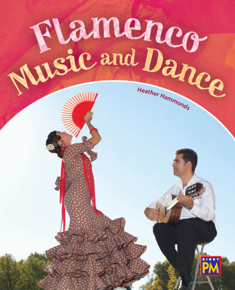 Cover image for book Flamenco Music and Dance