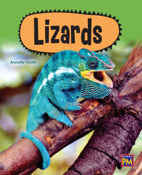 Cover image for book Lizards