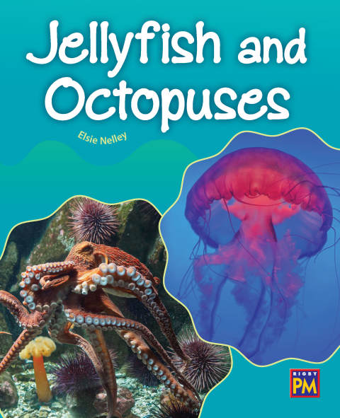 Cover image for book Jellyfish and Octopuses