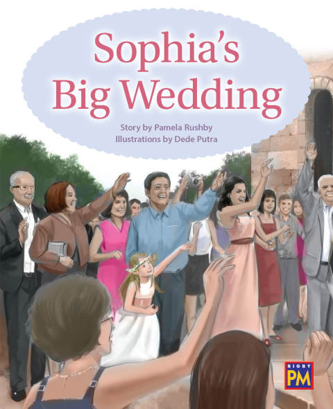 Cover image for book Sophia's Big Wedding