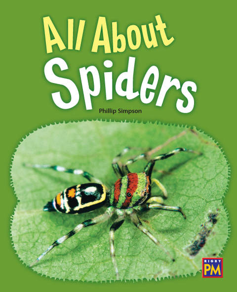 Cover image for book All About Spiders