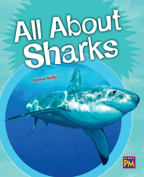 Cover image for book All About Sharks
