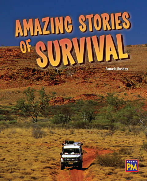 Cover image for book Amazing Stories of Survival