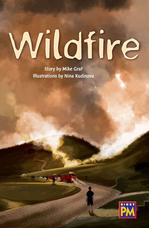 Cover image for book Wildfire!