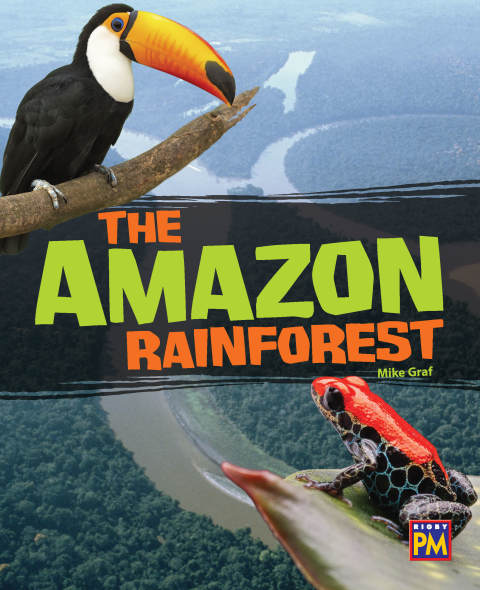 Cover image for book The Amazon Rain Forest