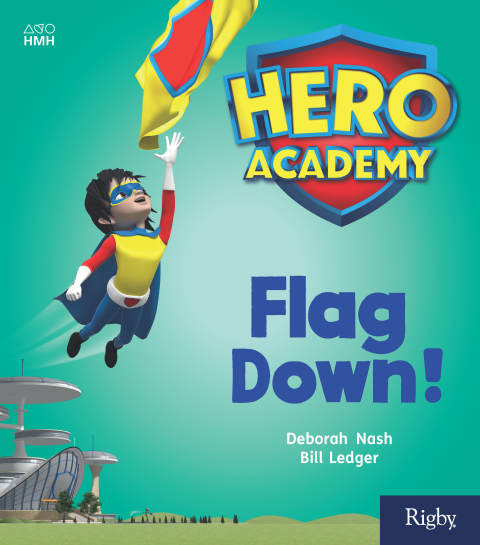 Cover image for book Flag Down!