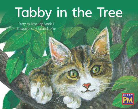 Cover image for book Tabby in the Tree