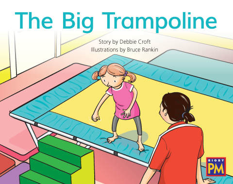 Cover image for book The Big Trampoline