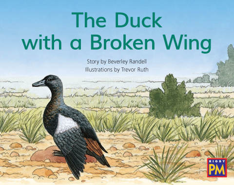 Cover image for book The Duck with a Broken Wing