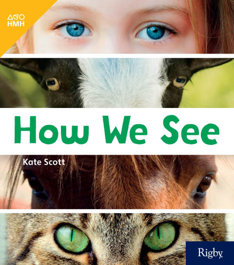 Cover image for book How We See