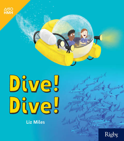 Cover image for book Dive! Dive!