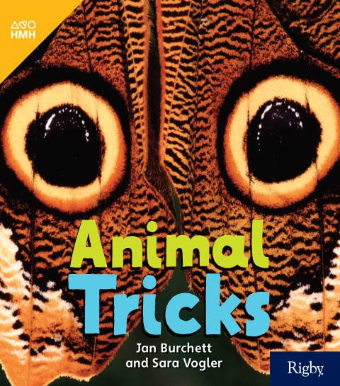 Cover image for book Animal Tricks