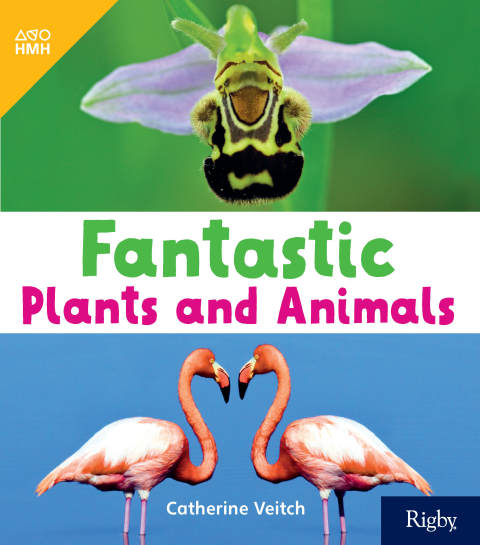 Cover image for book Fantastic Plants and Animals