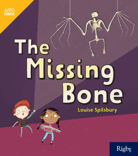 Cover image for book The Missing Bone