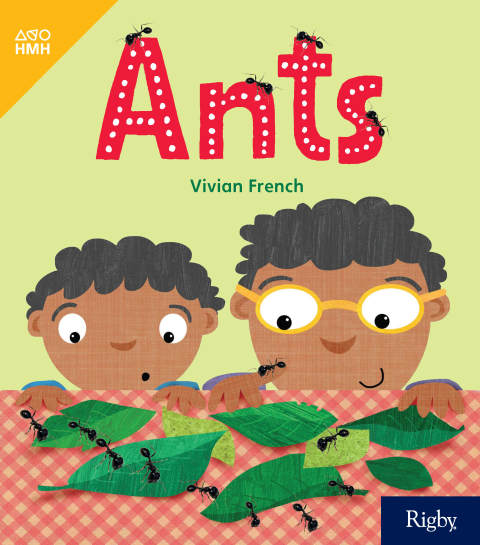 Cover image for book Ants