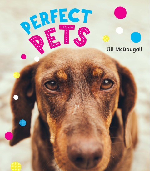 Cover image for book Perfect Pets
