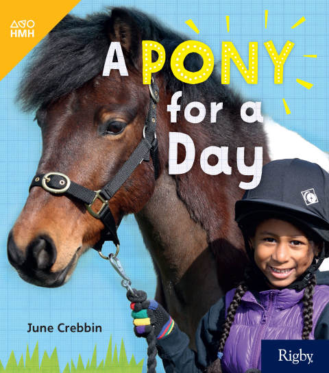 Cover image for book A Pony for a Day