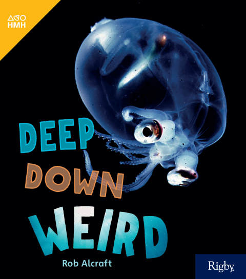Cover image for book Deep Down Weird