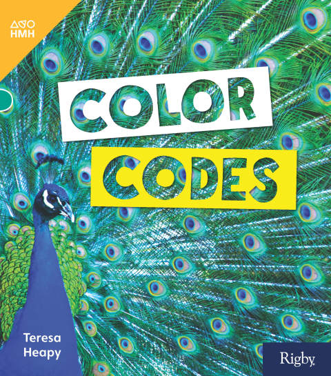 Cover image for book Color Codes