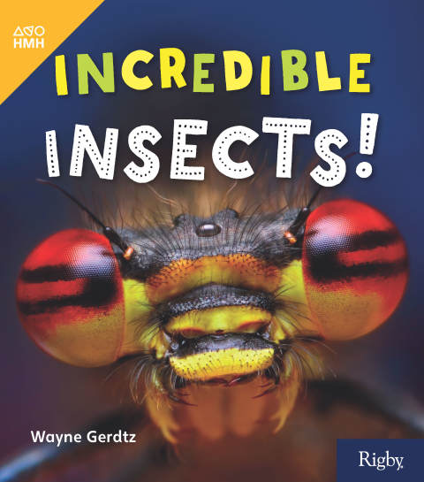 Cover image for book Incredible Insects