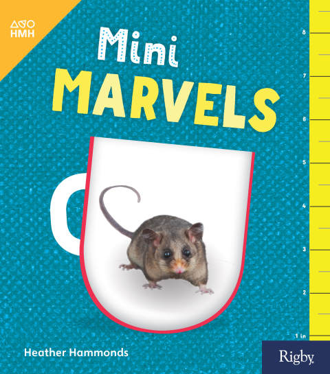 Cover image for book Mini Marvels